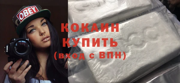индика Абаза