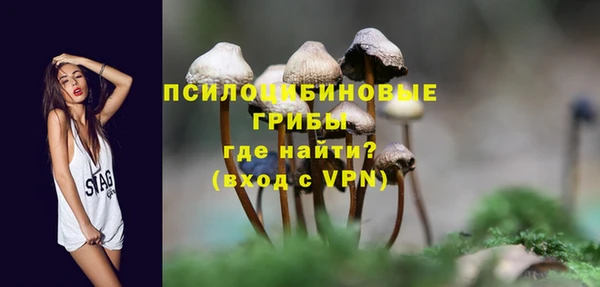 индика Абаза