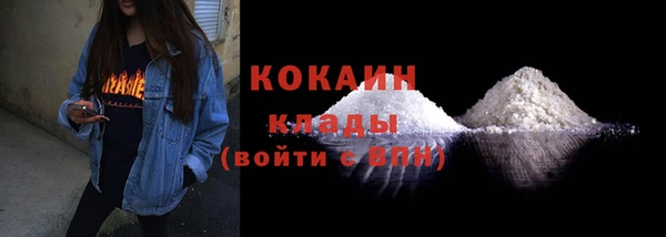 индика Абаза