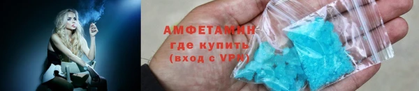 индика Абаза