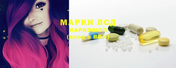 индика Абаза