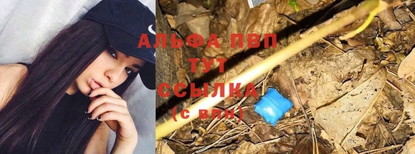 амф Алексеевка