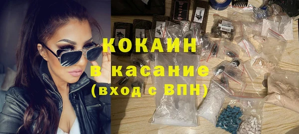 индика Абаза
