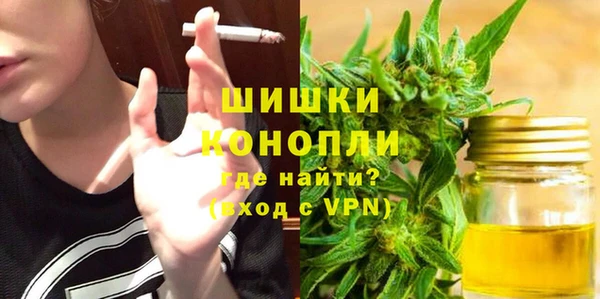 индика Абаза