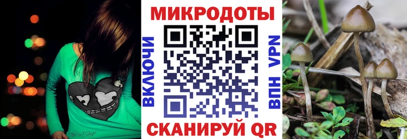 МЕГА зеркало где можно купить Хадыженск Галлюциногенные грибы MAGIC MUSHROOMS